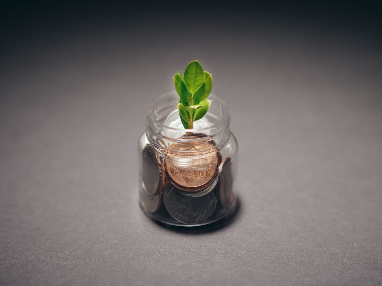 A small green plant sprouting from a glass jar filled with coins